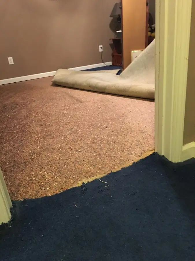 Carpet pad removal revealing water damage during Drying & Dehumidification in Silver Springs Shores