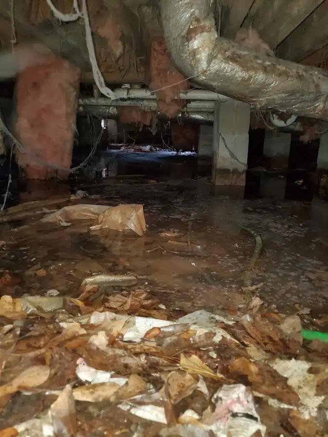 Crawl space flood assessment for Commercial Water Damage Restoration in Silver Springs Shores