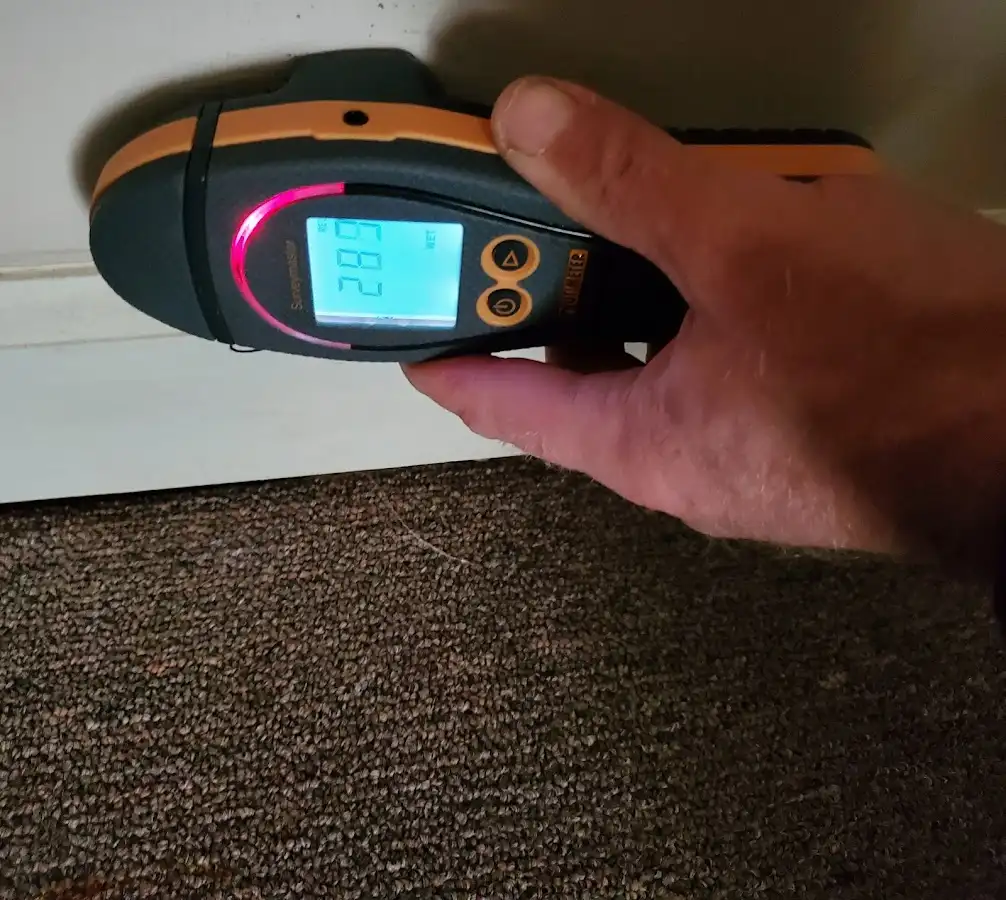 Moisture detection at baseboard during Sewage Cleanup & Sanitation in Silver Springs Shores